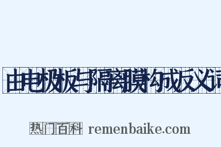 由电极板与隔离膜构成反义词是什么意思的图片